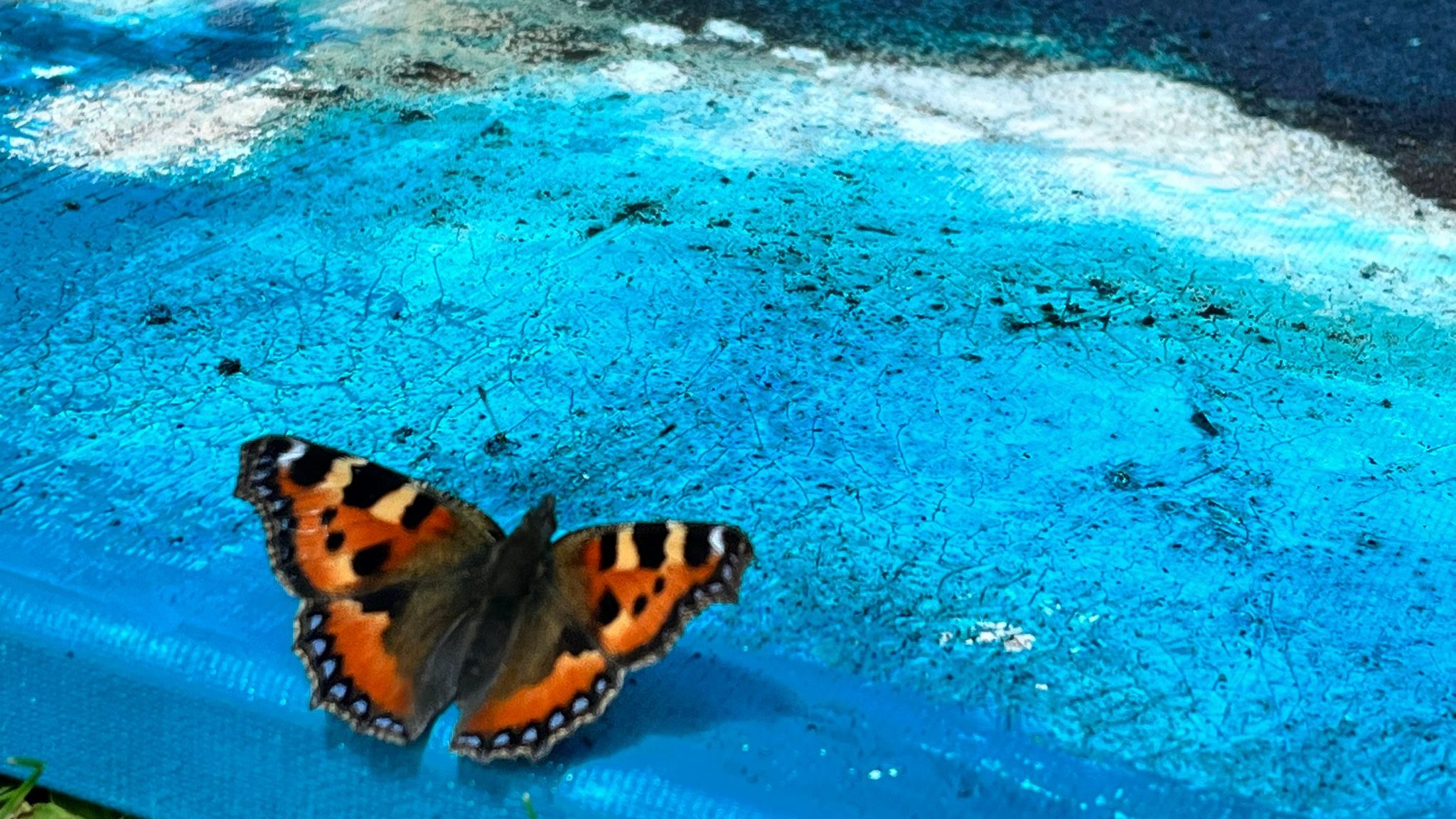 liegendes blaues Acrylbild und am Rand sitzt ein Schmetterling